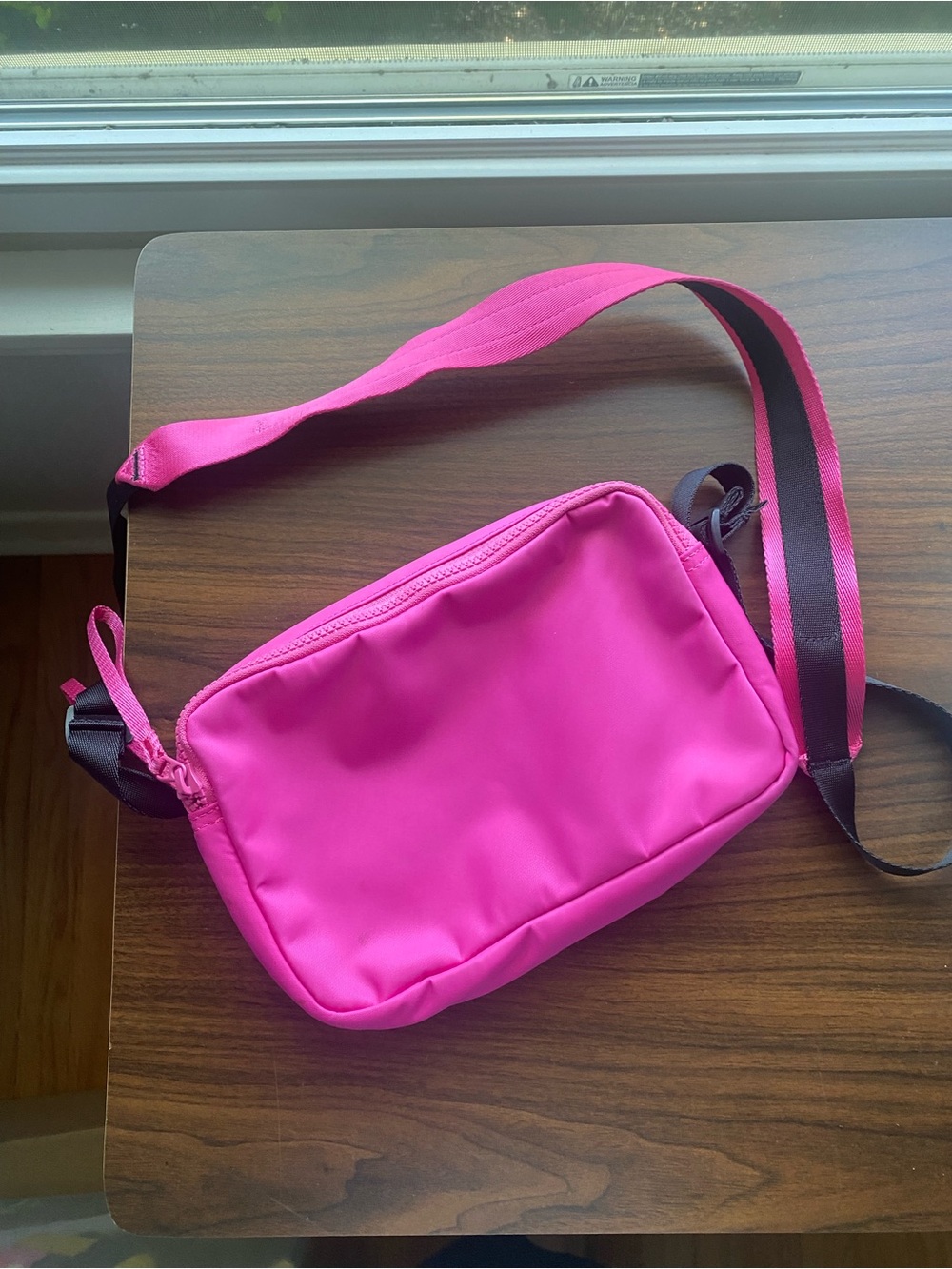 Everlane Hot Pink Crossbody Camera Shoulder Bag